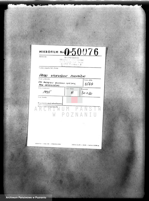 Obraz 2 z jednostki "Las majątku Krzycko Wielkie powiat leszczyński"