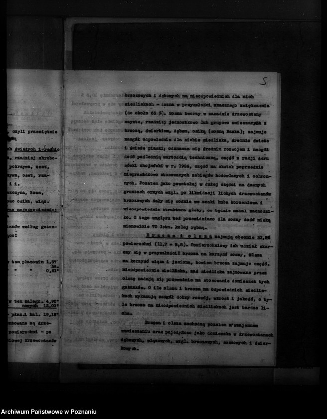 Obraz 9 z jednostki "Plan urządzenia gospodarstwa leśnego dla lasu majętności Sobota powiat poznański 1936-1946"