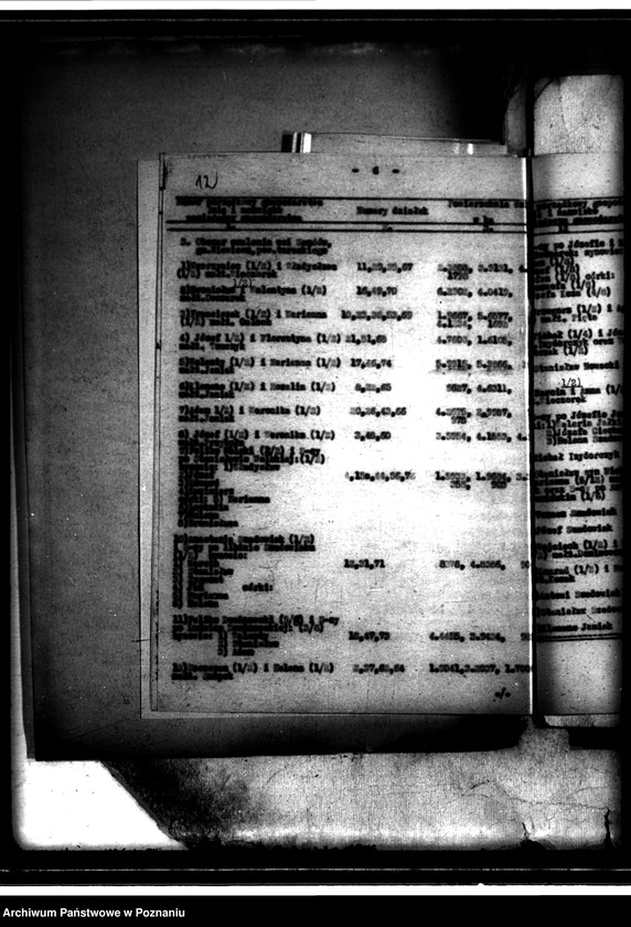 Obraz 16 z jednostki "Regulacja hipoteczna scalonych gruntów wsi Wólka powiatu tureckiego"