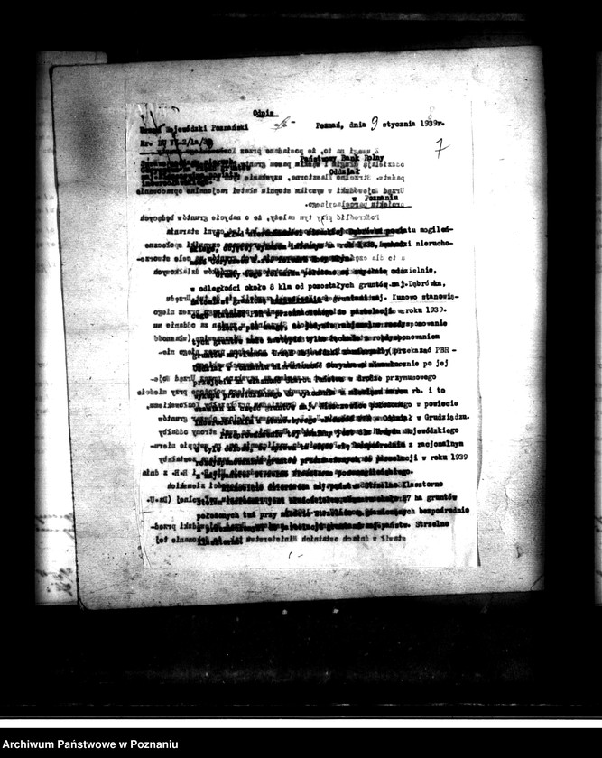 Obraz 11 z jednostki "Majątek Dąbrówka-Szczeglin powiatu mogileńskiego parcelacja"