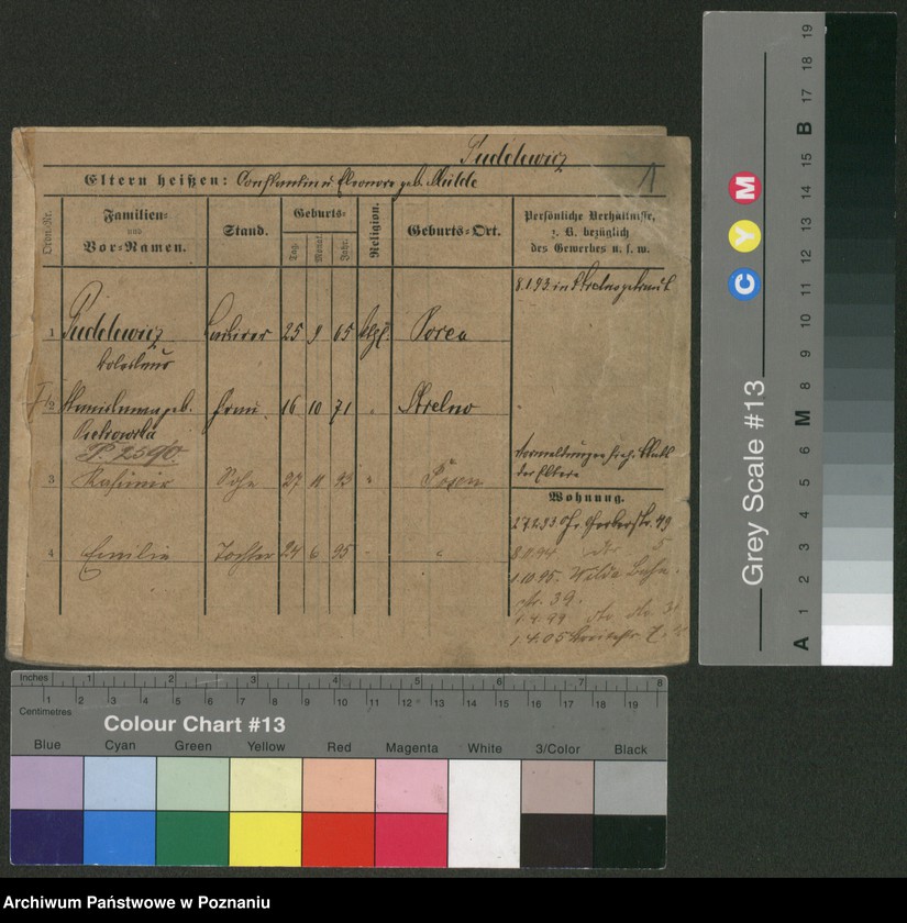 Obraz 3 z jednostki "Pudelewicz - Purpurowski"