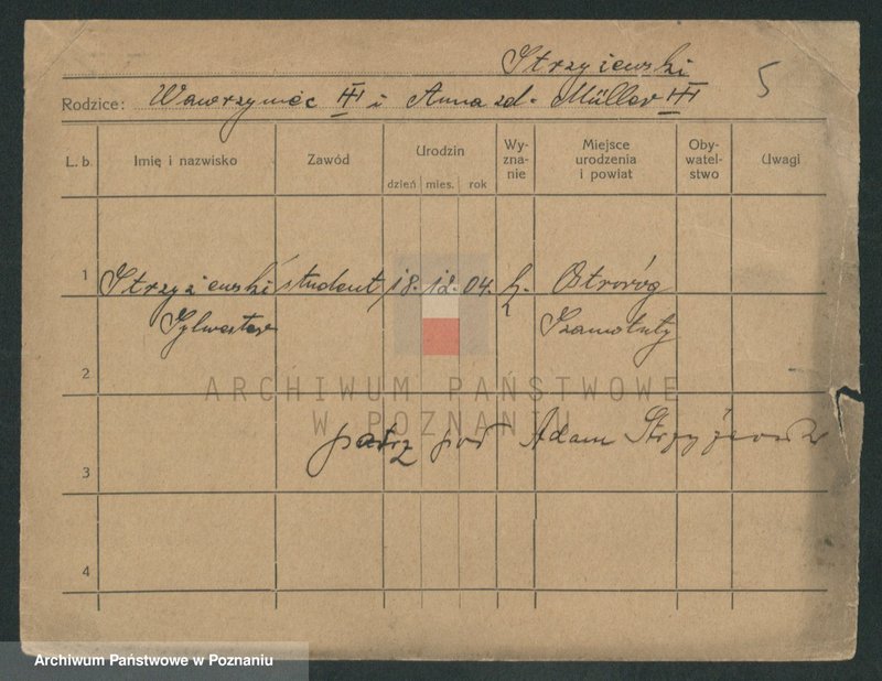 Obraz 12 z jednostki "Strzyżewski - Stwirok"