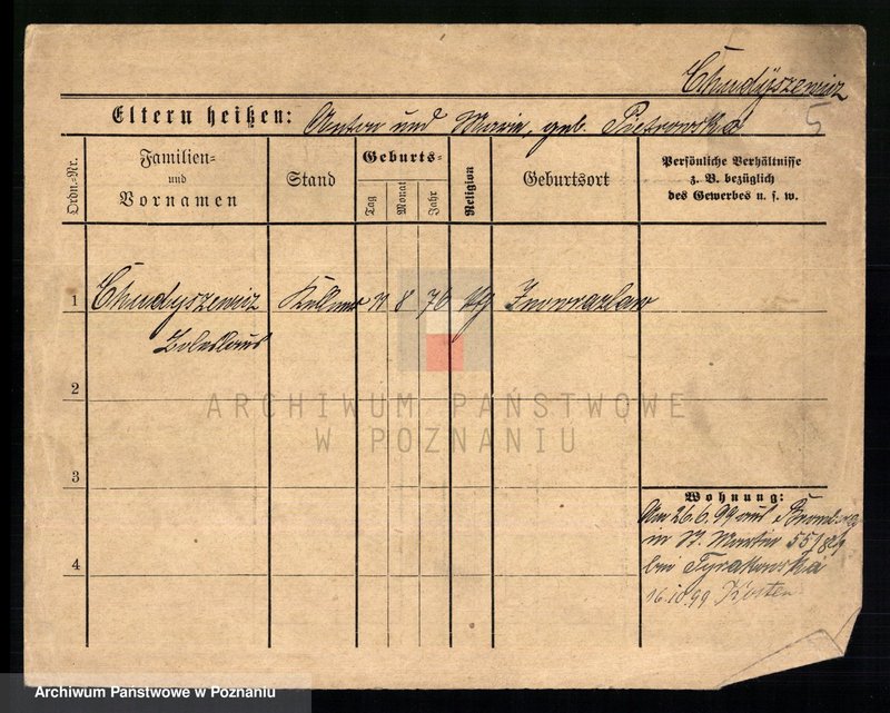 Obraz 7 z jednostki "Chudysiewicz - Chyczewski"