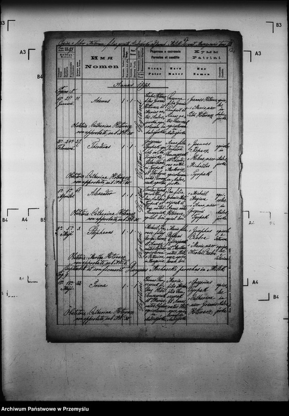 Obraz 16 z jednostki "[Kopie ksiąg metrykalnych parafii Milik z filią Andrzejówka (dekanat Muszyna)]"