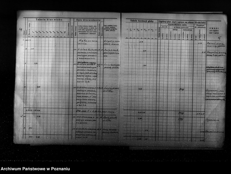 Obraz 8 z jednostki "Program urządzenia gospodarstwa leśnego dla lasu Ernesta Coelle w gminie Kołata powiat poznański 1935-1945"