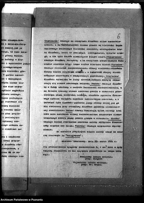 Obraz 10 z jednostki "Księgosusz - Kościerzyna"