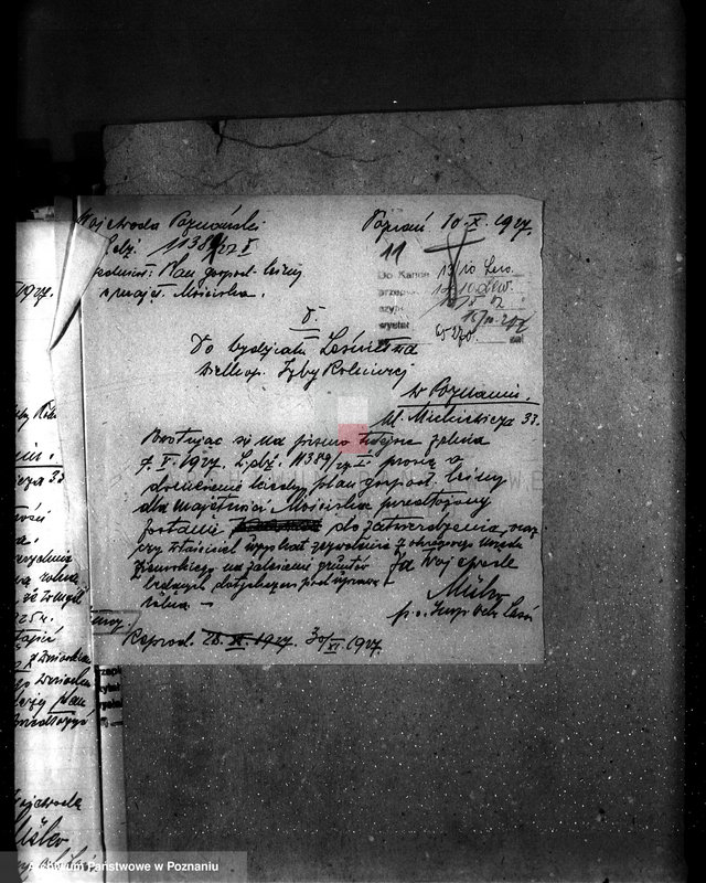 Obraz 16 z jednostki "Majętność leśna Kostrzynek-Mościska powiat wyrzyski"