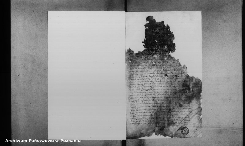 Obraz 4 z jednostki "Decreta officii [inducta]"