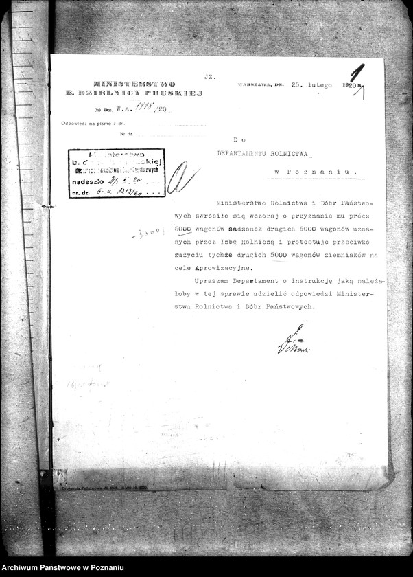 Obraz 5 z jednostki "Sprawy szczegółowo-administracyjne Sadzonki"