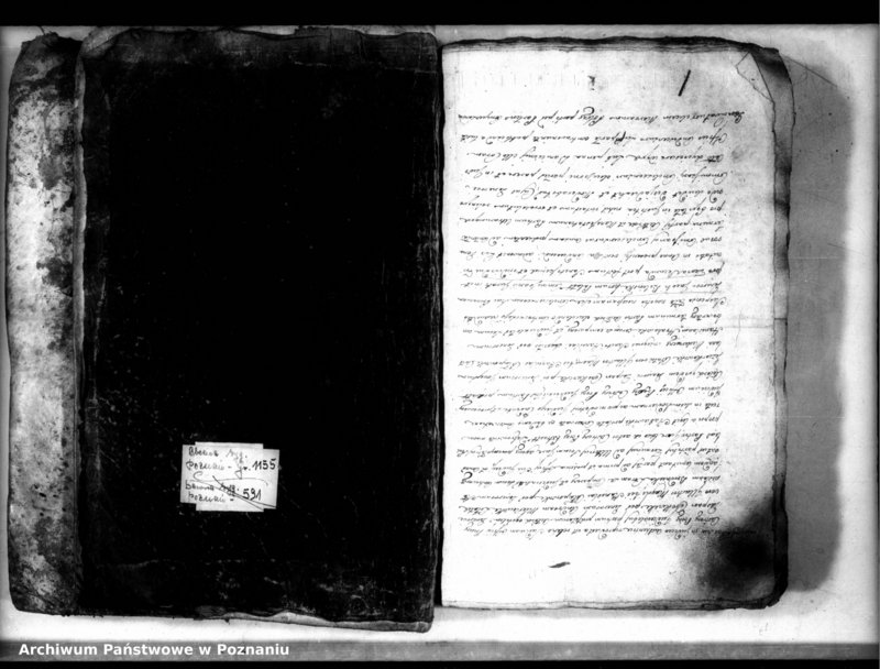 Obraz 3 z jednostki "Relationes [protocollon]"