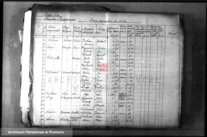 Obraz 10 z jednostki "/Lasy prywatne/ Spis według powiatów"