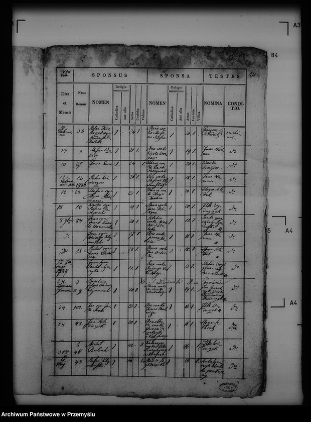 Obraz 18 z jednostki "[Kopie ksiąg metrykalnych parafii Trzcianiec (dekanat Bircza)]"