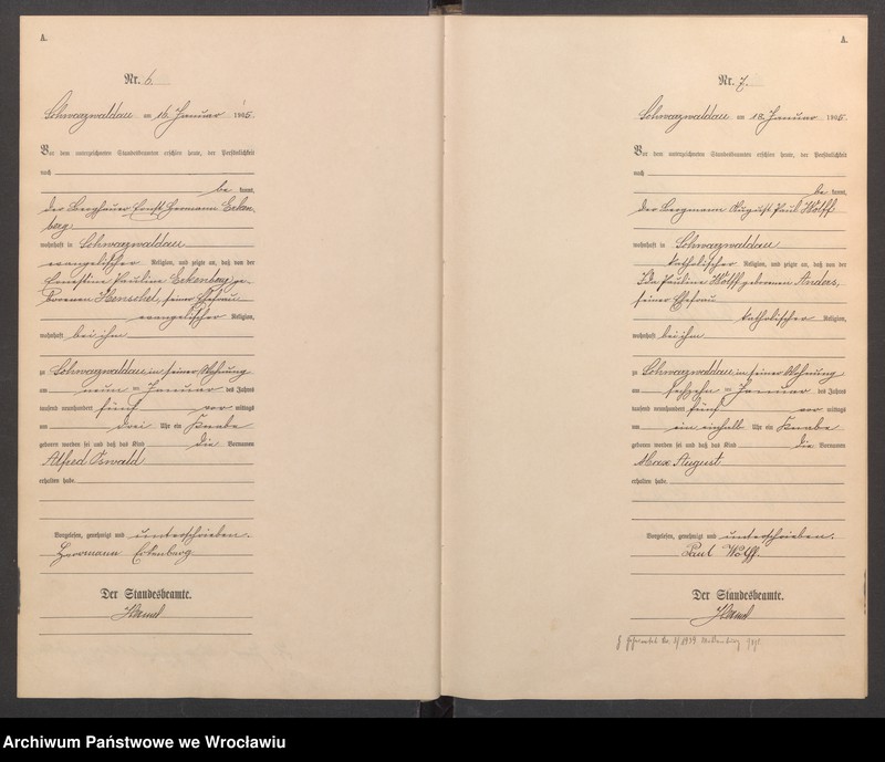 image.from.unit.number "Geburts-Haupt-Register Schwarzwaldau (Czarny Bór) 1905"
