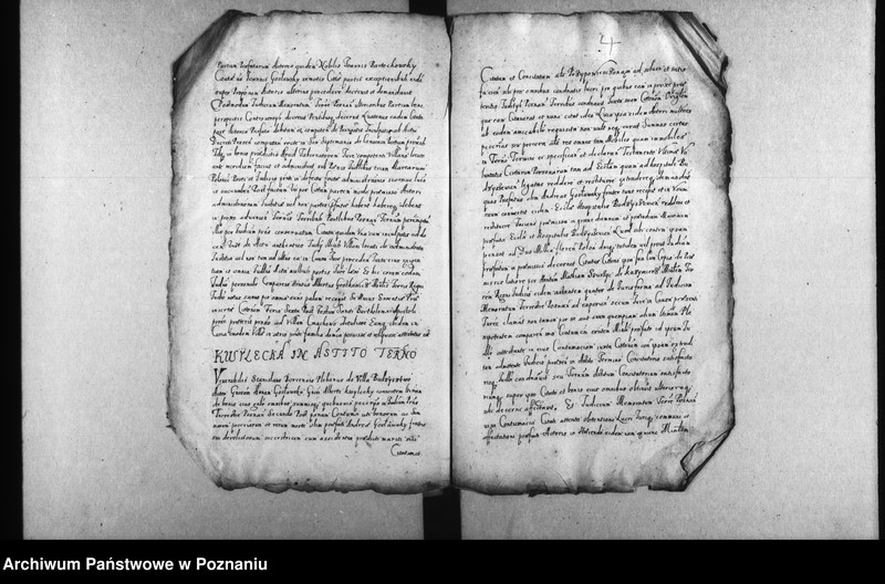 Obraz 7 z jednostki "Decreta [inducta]"