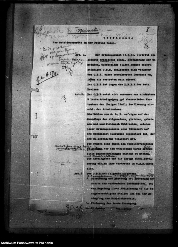 Obraz 12 z jednostki "Rady włościańskie"