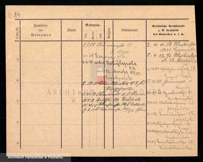 Obraz 16 z jednostki "Bloch - Blume"