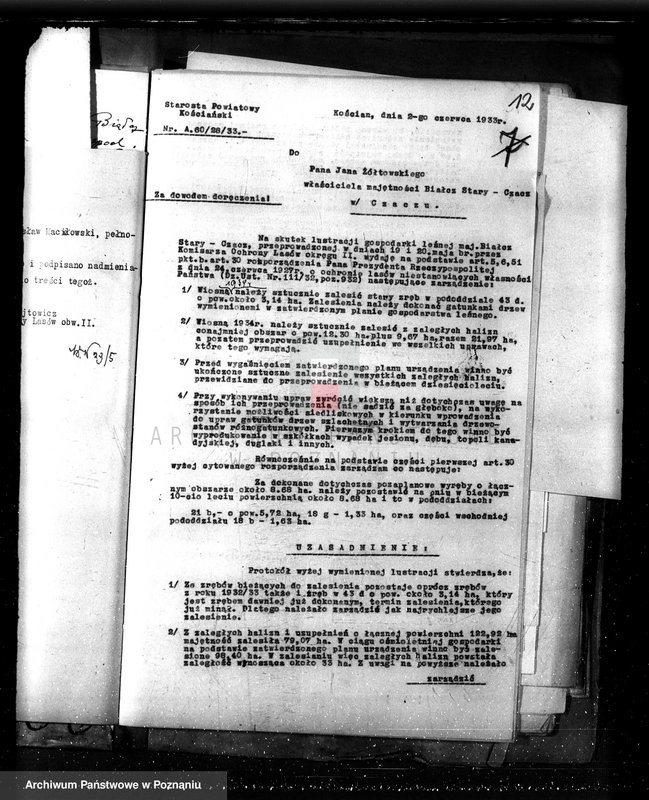 Obraz 16 z jednostki "Nadzór nad gospodarką w lasach majętności Czacz-Białcz powiat kościański"