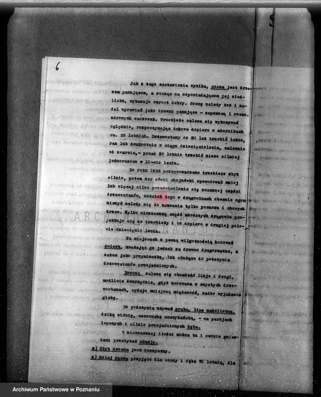 Obraz 12 z jednostki "Plan urządzenia gospodarstwa leśnego dla lasu majętności Lizie powiat nowotomyski"