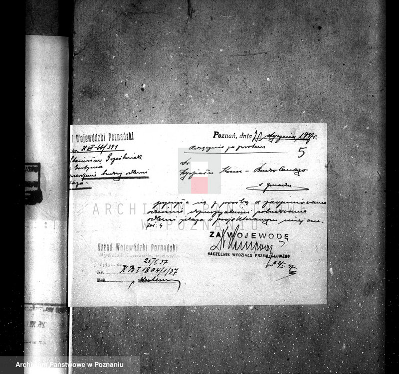 Obraz 9 z jednostki "Młyn parowy O. Klimpela w Gostyniu nr woj. 6006"