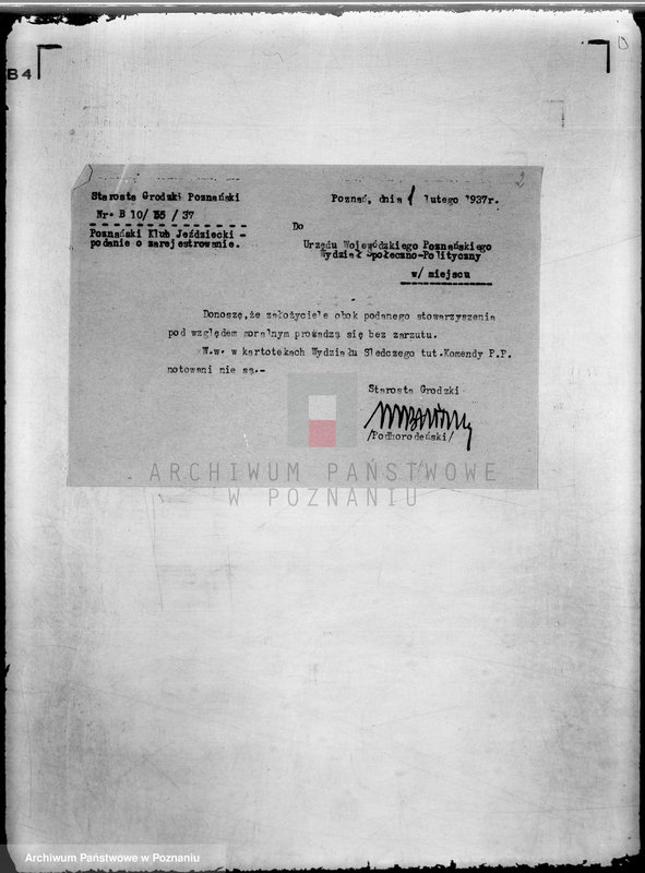 Obraz 6 z jednostki "/Poznański Klub Jeździecki w Poznaniu/"