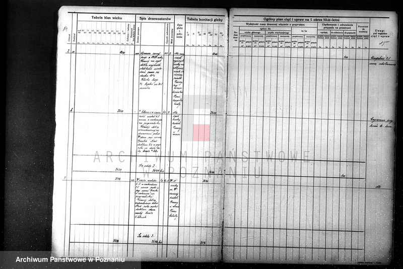 Obraz 18 z jednostki "Nadzór nad gospodarką leśną majątku Sławno powiat czarnkowskim"
