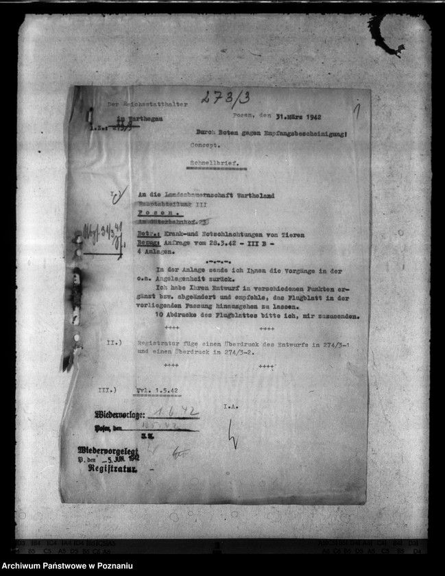 Obraz 5 z jednostki "Notschlachtungen"