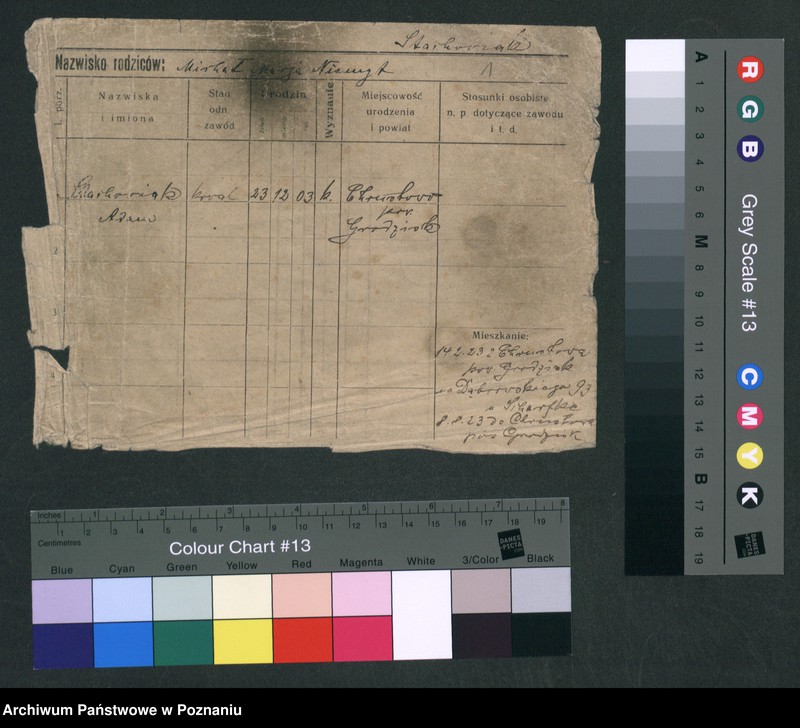 Obraz 7 z jednostki "Stachowiak (samotni mężczyźni i kobiety)"