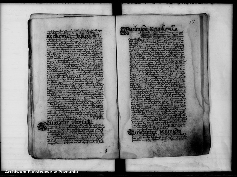 Obraz 20 z jednostki "Inscriptiones, relationes [inducta]"