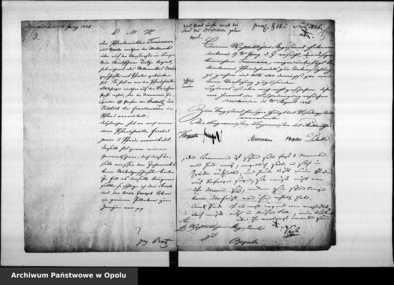 Obraz 6 z jednostki "Acta Denunciations contra den hiesigen Juden Abraham Treymann wegen unbefugt betriebener Pferden Mäkeley im Umherziehen. De anno 1826. Vol. I"