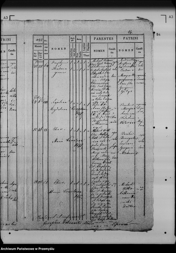 image.from.unit.number "[Kopie ksiąg metrykalnych parafii Lipowiec (dekanat Lubaczów)]"