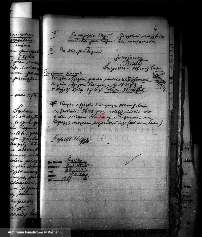 Obraz 10 z jednostki "Nadzór nad gospodarką w lasach majętności Owińska powiat poznański"