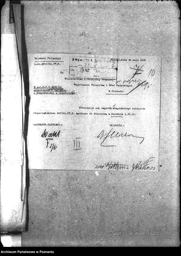 Obraz 15 z jednostki "Zaraza płucna - Witkowo"