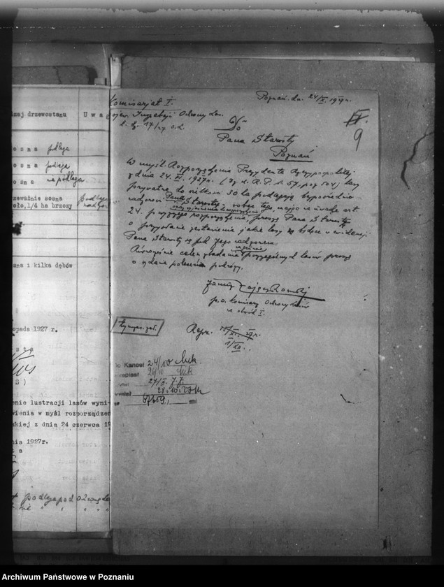 Obraz 13 z jednostki "Lasy do 30 ha na terenie powiatu poznańskiego"