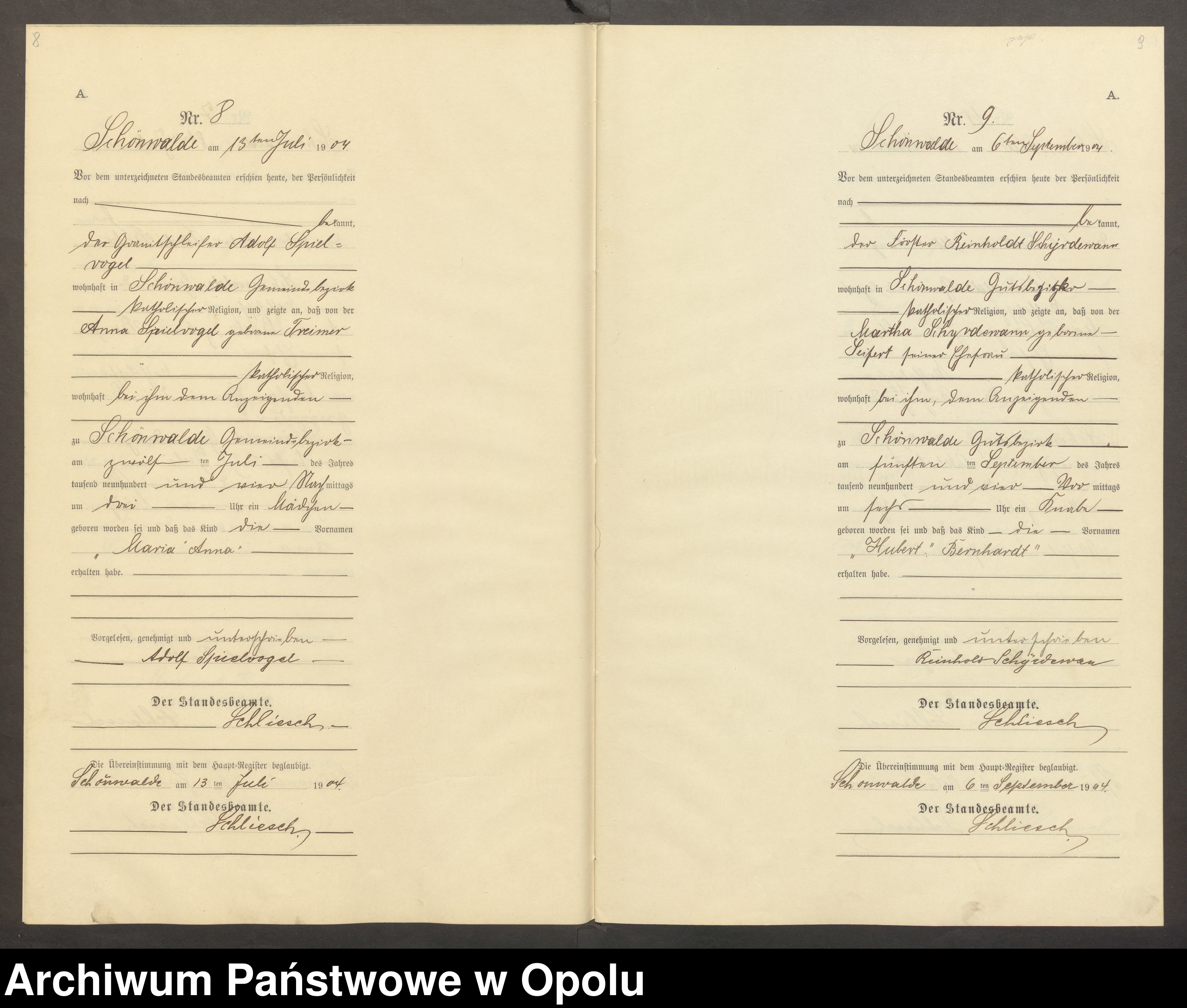 Skan z jednostki: Geburts-Neben-Register des Standesamts Schönwalde pro 1904