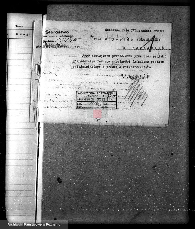 Obraz 5 z jednostki "Nadzór nad gospodarką w lasach majątku Dziadkowo powiecie gnieźnieńskim"