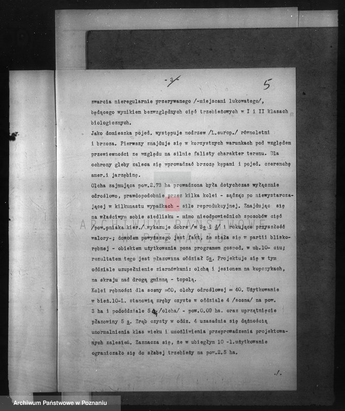 Obraz 9 z jednostki "Program urządzenia gospodarstwa leśnego dla lasu majętności Glinno powiat poznański 1938-1948"