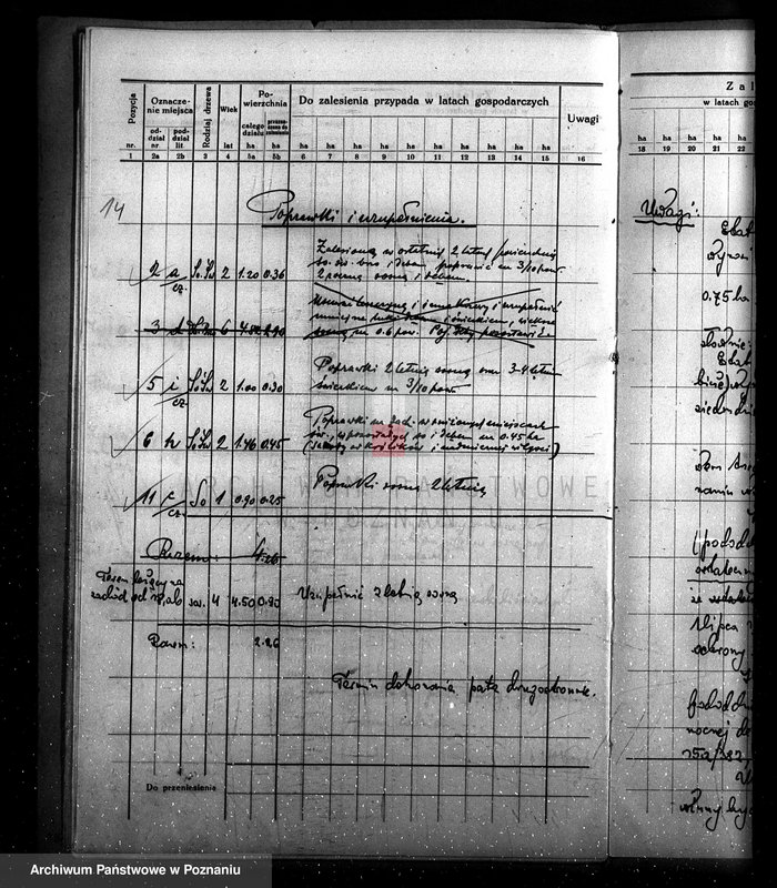 Obraz 19 z jednostki "Program urządzenia gospodarstwa leśnego dla lasu majętności Kobylepole powiat poznański 1933/34-1938/39"