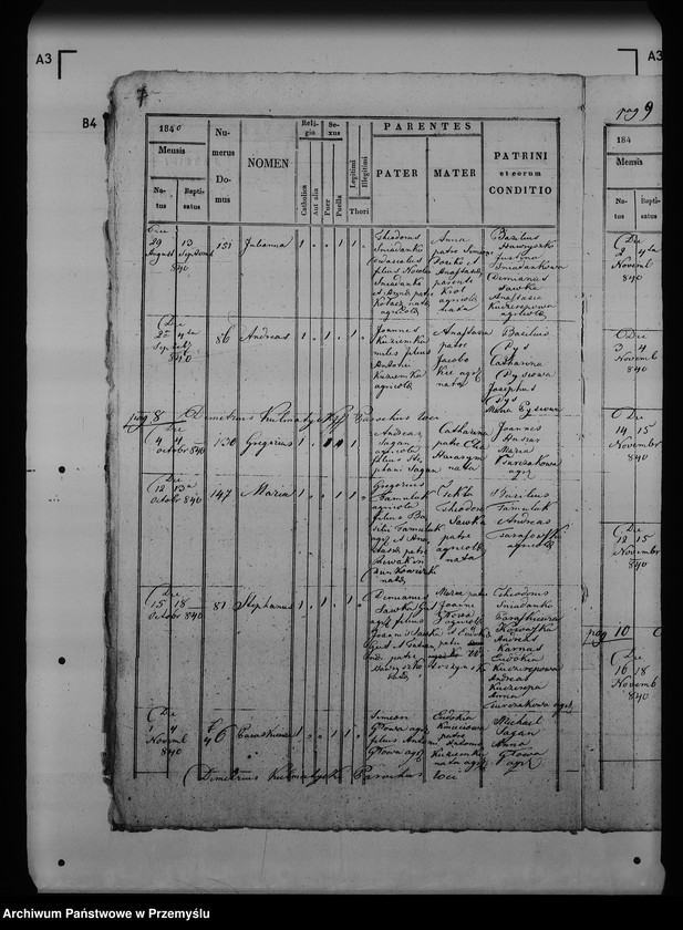 Obraz 12 z jednostki "[Kopie ksiąg metrykalnych parafii Maćkowice z filią Kosienice (dekanat Przemyśl)]"