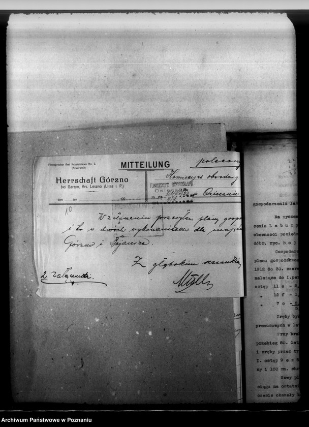 Obraz 14 z jednostki "Majętność leśna Górzno-Bojanice powiat leszczyński"