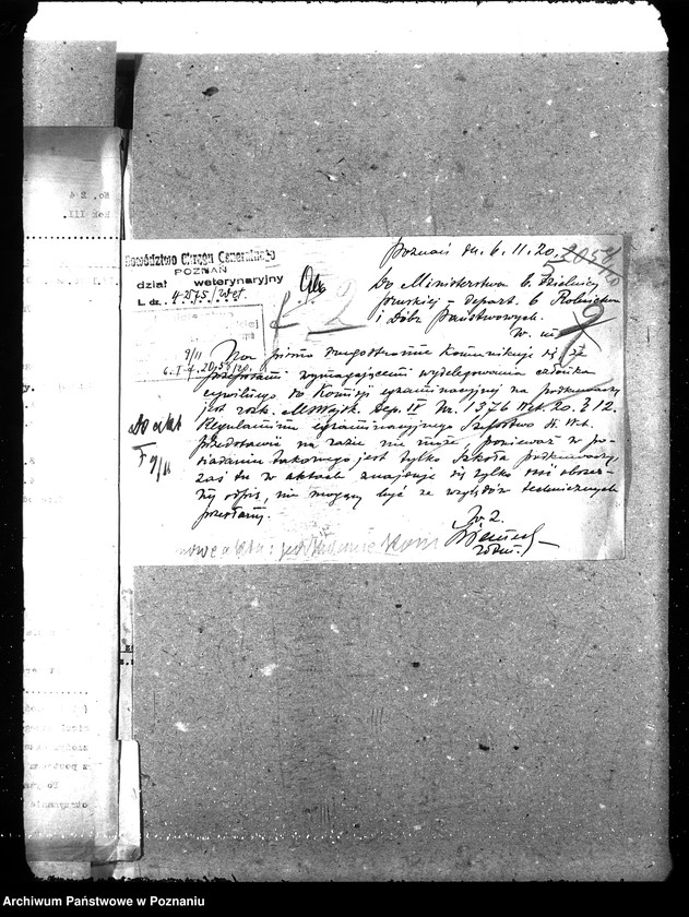 Obraz 10 z jednostki "Podkuwacze koni"