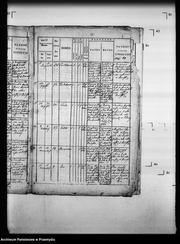 Obraz 11 z jednostki "[Kopie ksiąg metrykalnych parafii Berest z filią Polany (dekanat Grybów)]"