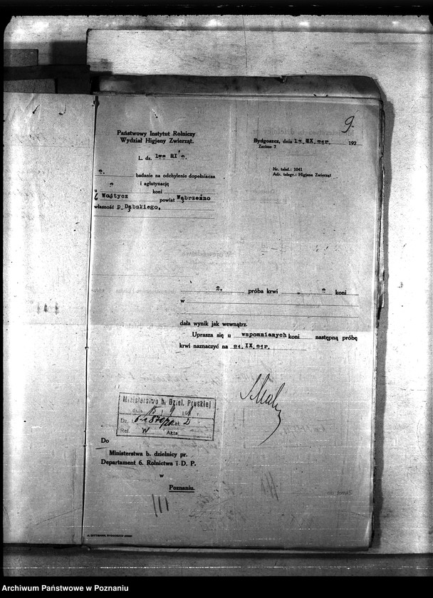 Obraz 13 z jednostki "Nosacizna - Wąbrzeźno"