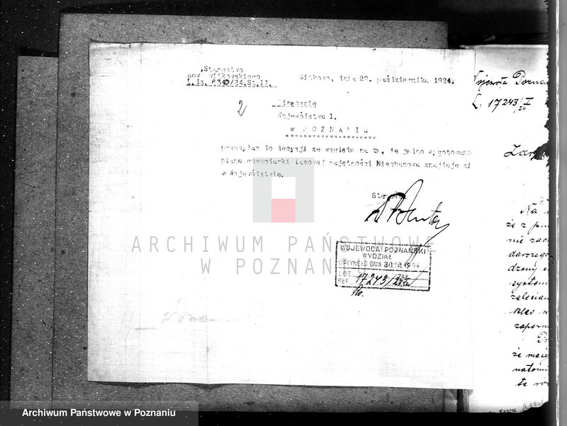 Obraz 6 z jednostki "Majętność /leśna/ Ni echanowo w powiecie gnieźnieńskim"