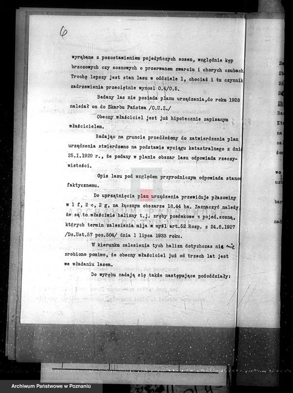 Obraz 11 z jednostki "Majętność leśna w Sarbii w powiecie czarnkowskim"