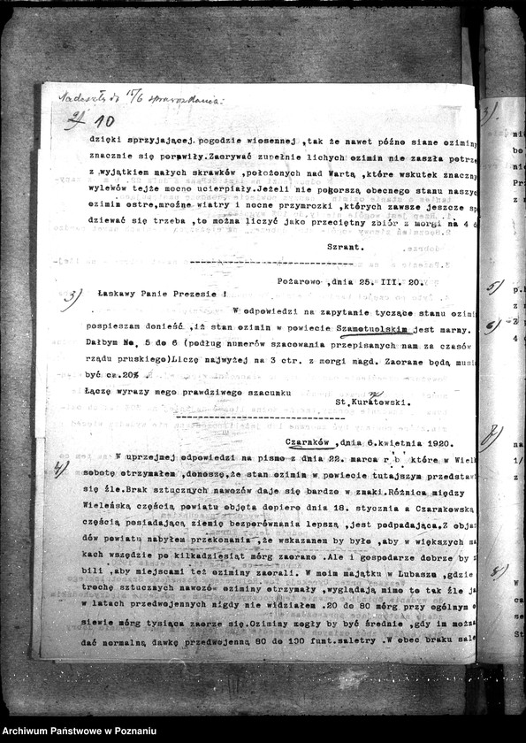 Obraz 14 z jednostki "Ziemiopłody - generalia"