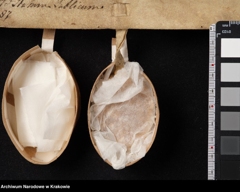 image.from.unit.number "Paweł biskup krakowski zawiera ugodę z Leszkiem księciem krakowskim, sandomierskim i sieradzkim, który za ujęcie i więzienie biskupa oraz wyrządzone"