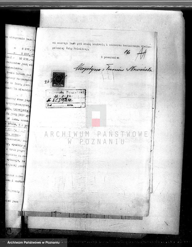 Obraz 20 z jednostki "Nadzór nad gospodarką w lasach majętności Torzeniec powiat kępiński"