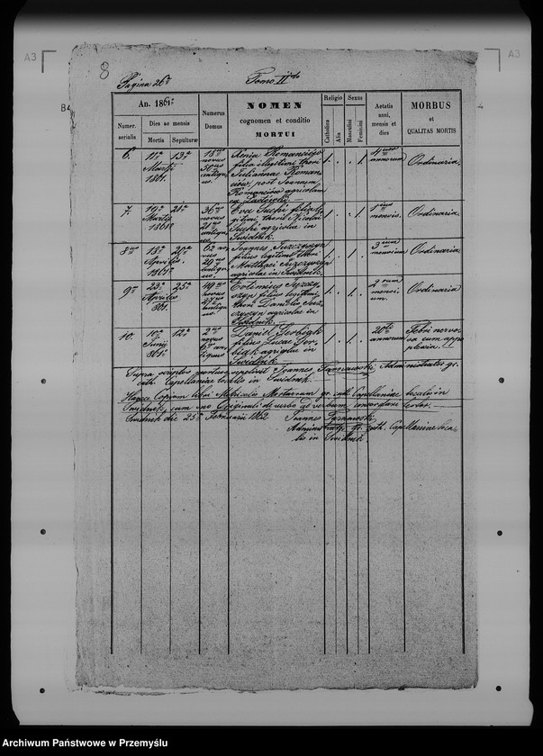 Obraz 12 z jednostki "[Kopie ksiąg metrykalnych parafii Świdnik (dekanat Rozłucz)]"