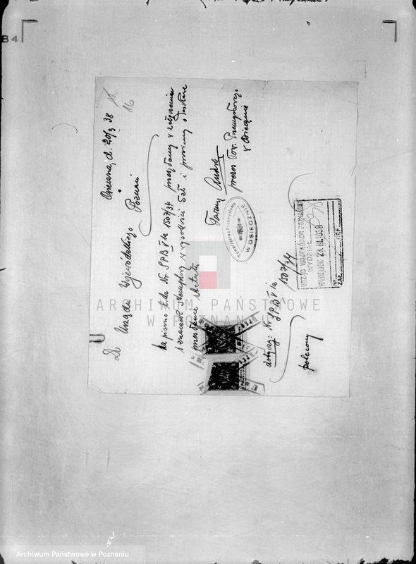 Obraz 20 z jednostki "/Towarzystwo Przemysłowe w Osiecznie/"