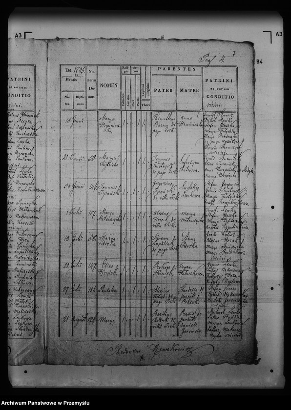 image.from.unit.number "[Kopie ksiąg metrykalnych parafii Torki (dekanat Medyka)]"